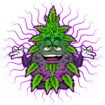 כיוונים בטלגרם